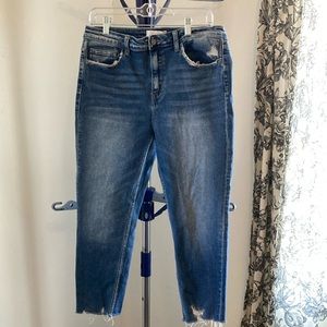Vervet Los Angeles distressed jeans size 31 waist